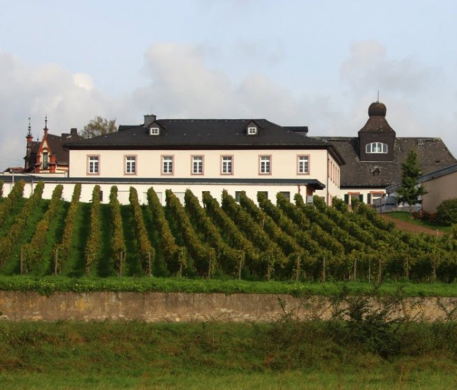 Schloss Schönborn, Geisenheim, Germany, Germany